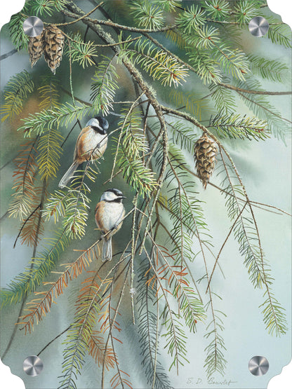 Chickadees in Fir Acrylic Wall Art & Home Decor