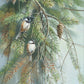 Chickadees in Fir Acrylic Wall Art & Home Decor