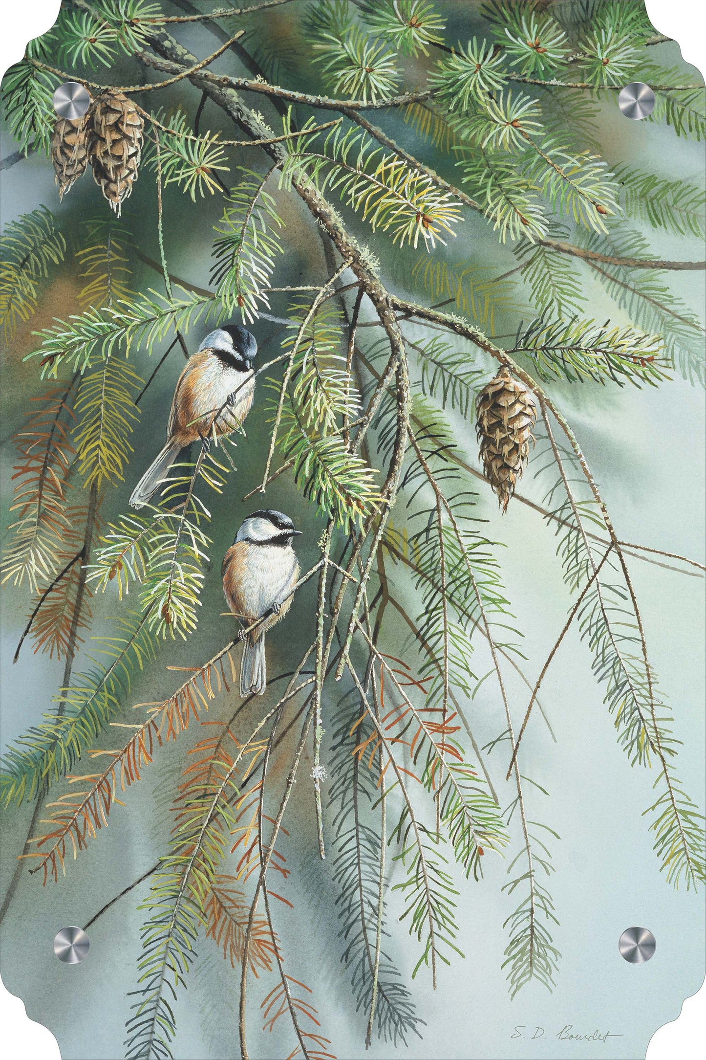 Chickadees in Fir Acrylic Wall Art & Home Decor