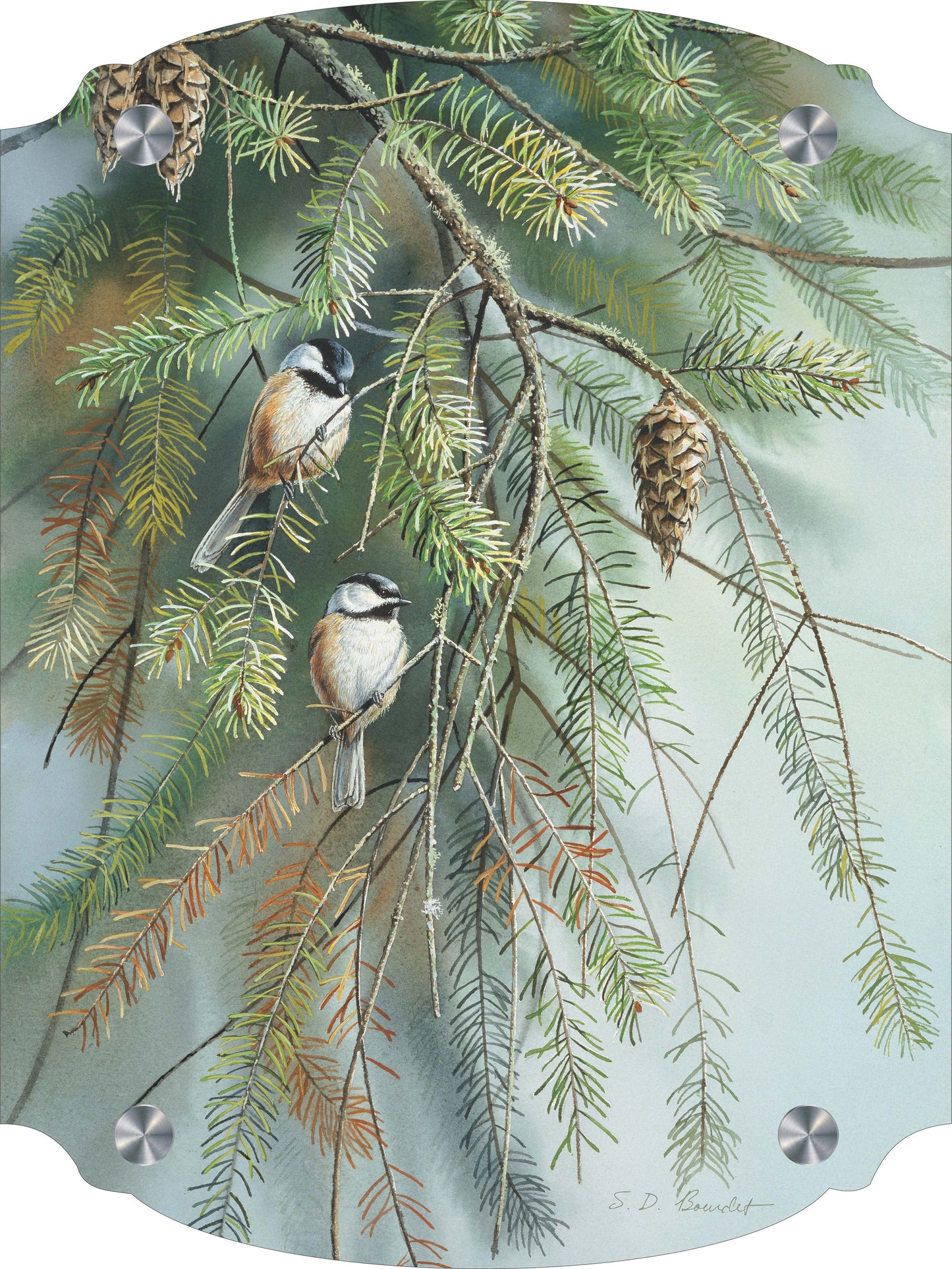 Chickadees in Fir Acrylic Wall Art & Home Decor