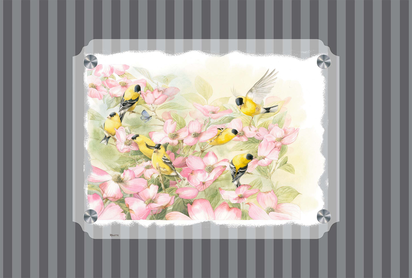 Crowded Dogwood Acrylic Wall Art & Home Decor