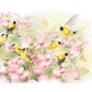 Crowded Dogwood Acrylic Wall Art & Home Decor