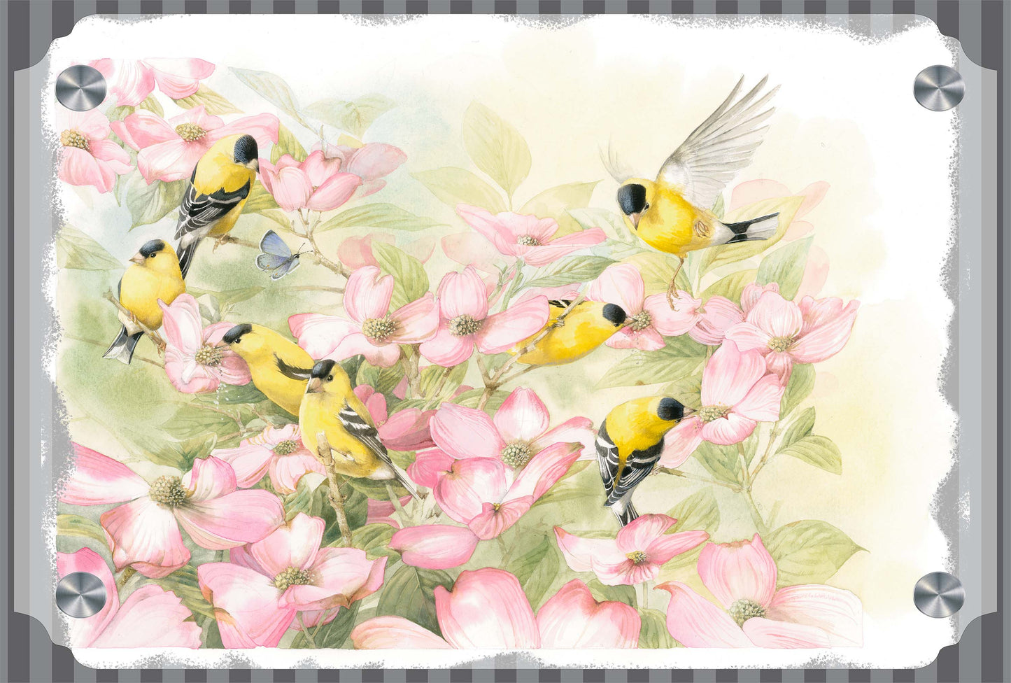 Crowded Dogwood Acrylic Wall Art & Home Decor