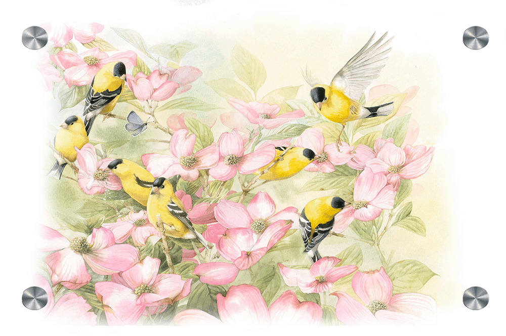 Crowded Dogwood Acrylic Wall Art & Home Decor