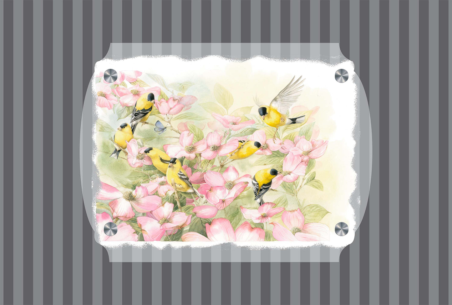 Crowded Dogwood Acrylic Wall Art & Home Decor