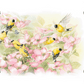 Crowded Dogwood Acrylic Wall Art & Home Decor
