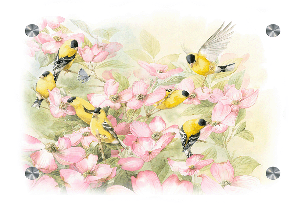 Crowded Dogwood Acrylic Wall Art & Home Decor