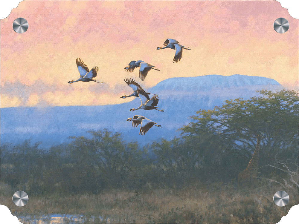 Crowned Cranes Acrylic Wall Art & Home Decor