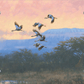Crowned Cranes Acrylic Wall Art & Home Decor