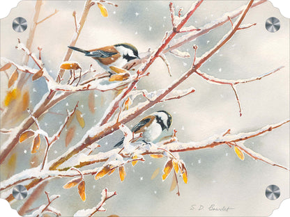 Early Snowfall - Chestnut Backed Chickadees Acrylic Wall Art & Home Decor