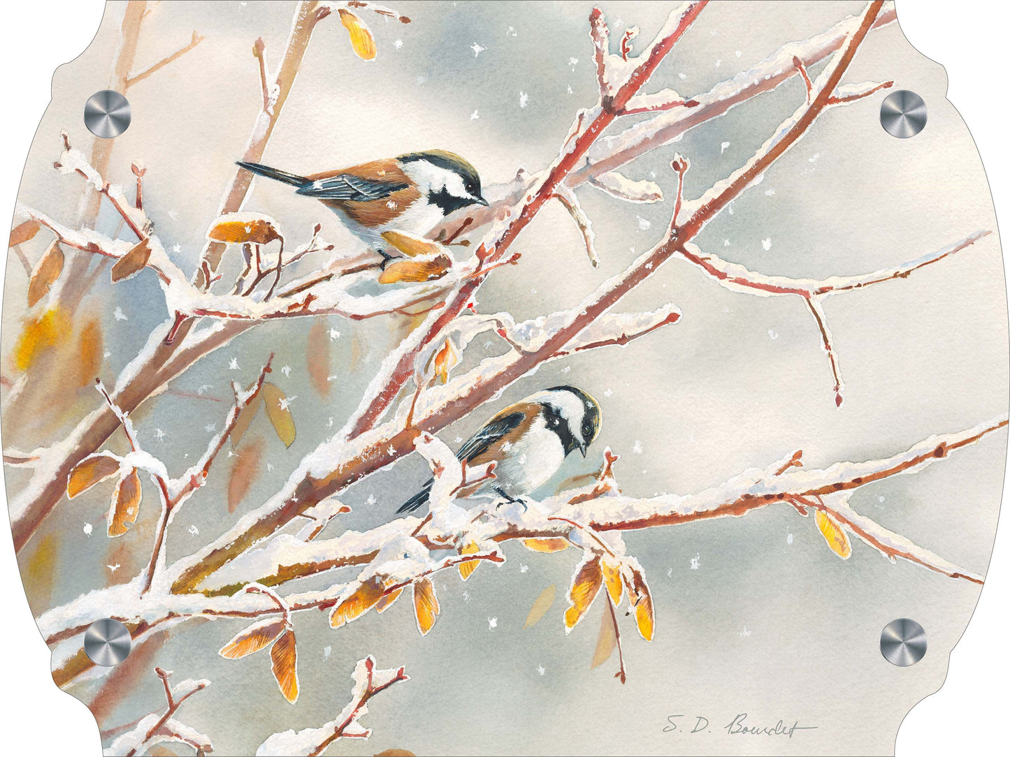 Early Snowfall - Chestnut Backed Chickadees Acrylic Wall Art & Home Decor