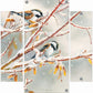 Early Snowfall - Chestnut Backed Chickadees Acrylic Wall Art & Home Decor