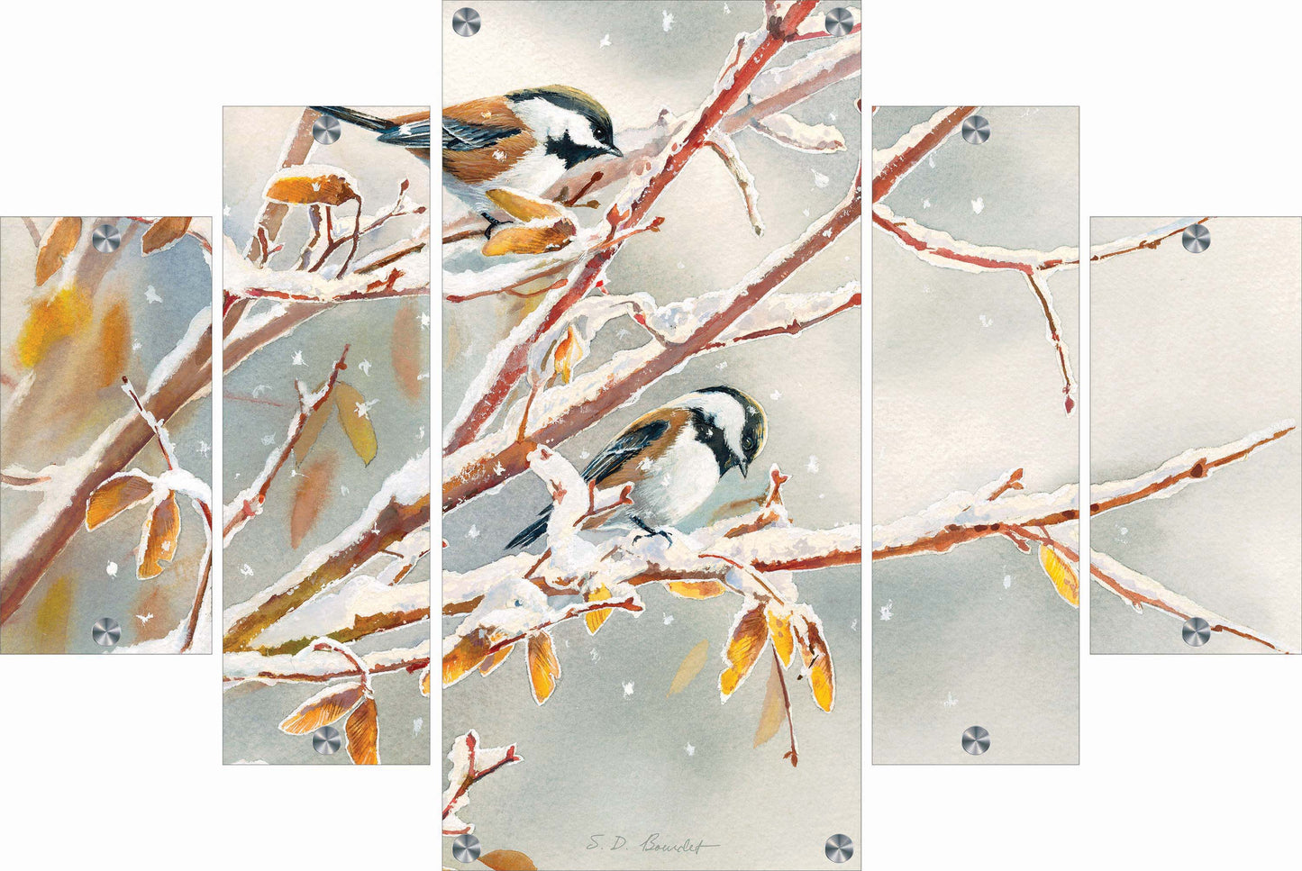 Early Snowfall - Chestnut Backed Chickadees Acrylic Wall Art & Home Decor