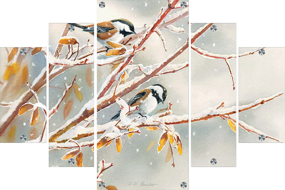 Early Snowfall - Chestnut Backed Chickadees Acrylic Wall Art & Home Decor