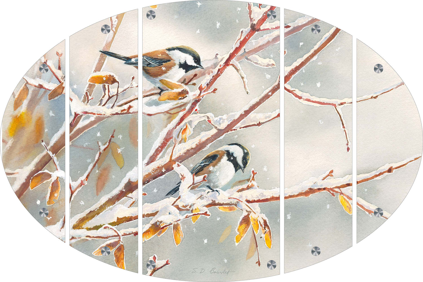 Early Snowfall - Chestnut Backed Chickadees Acrylic Wall Art & Home Decor