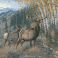 Eastern Slope - Elk Acrylic Wall Art & Home Decor