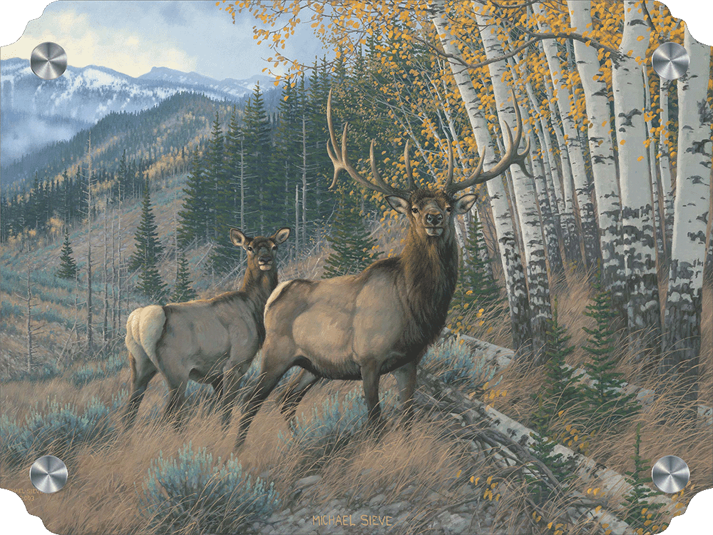 Eastern Slope - Elk Acrylic Wall Art & Home Decor
