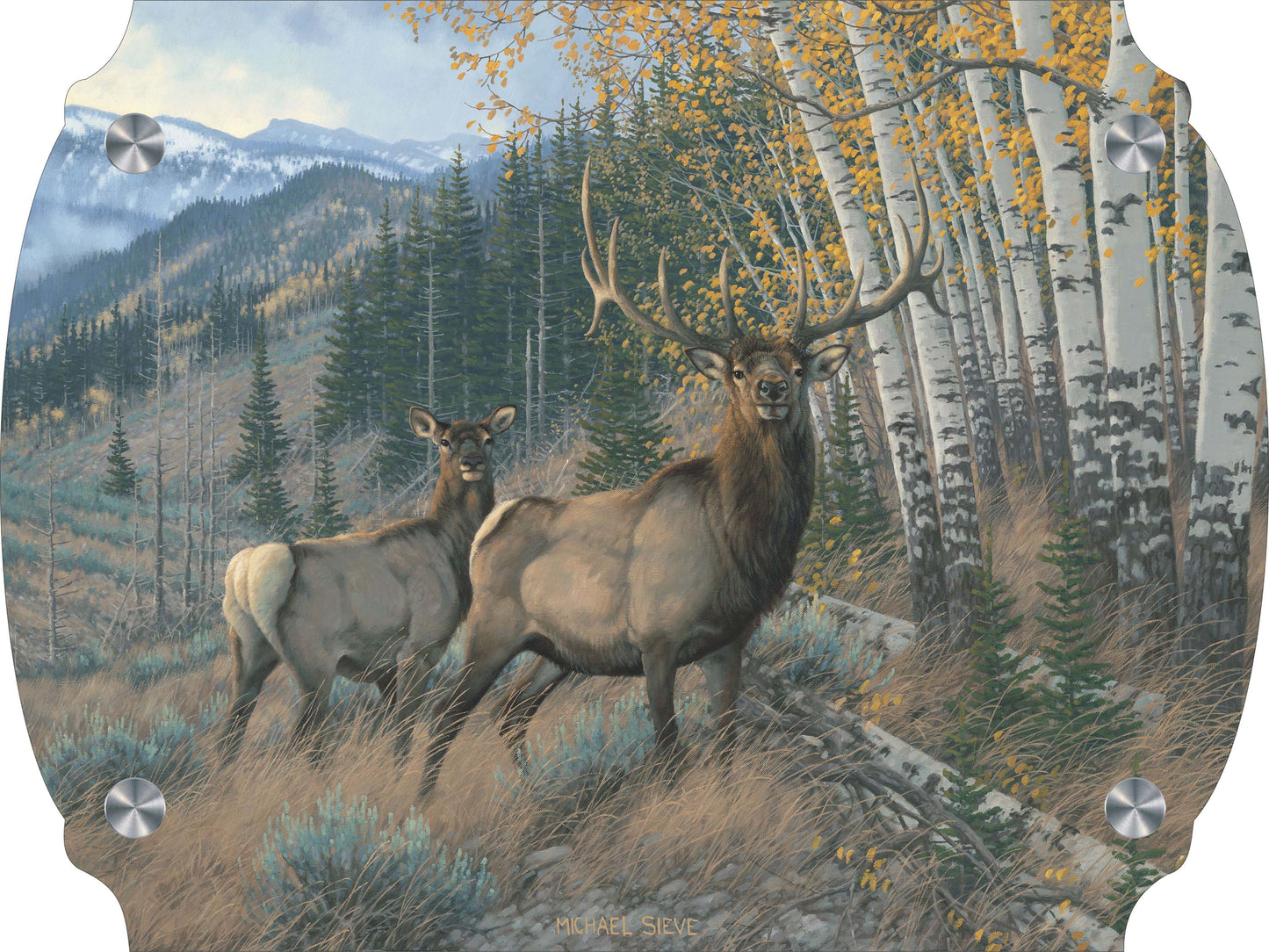 Eastern Slope - Elk Acrylic Wall Art & Home Decor