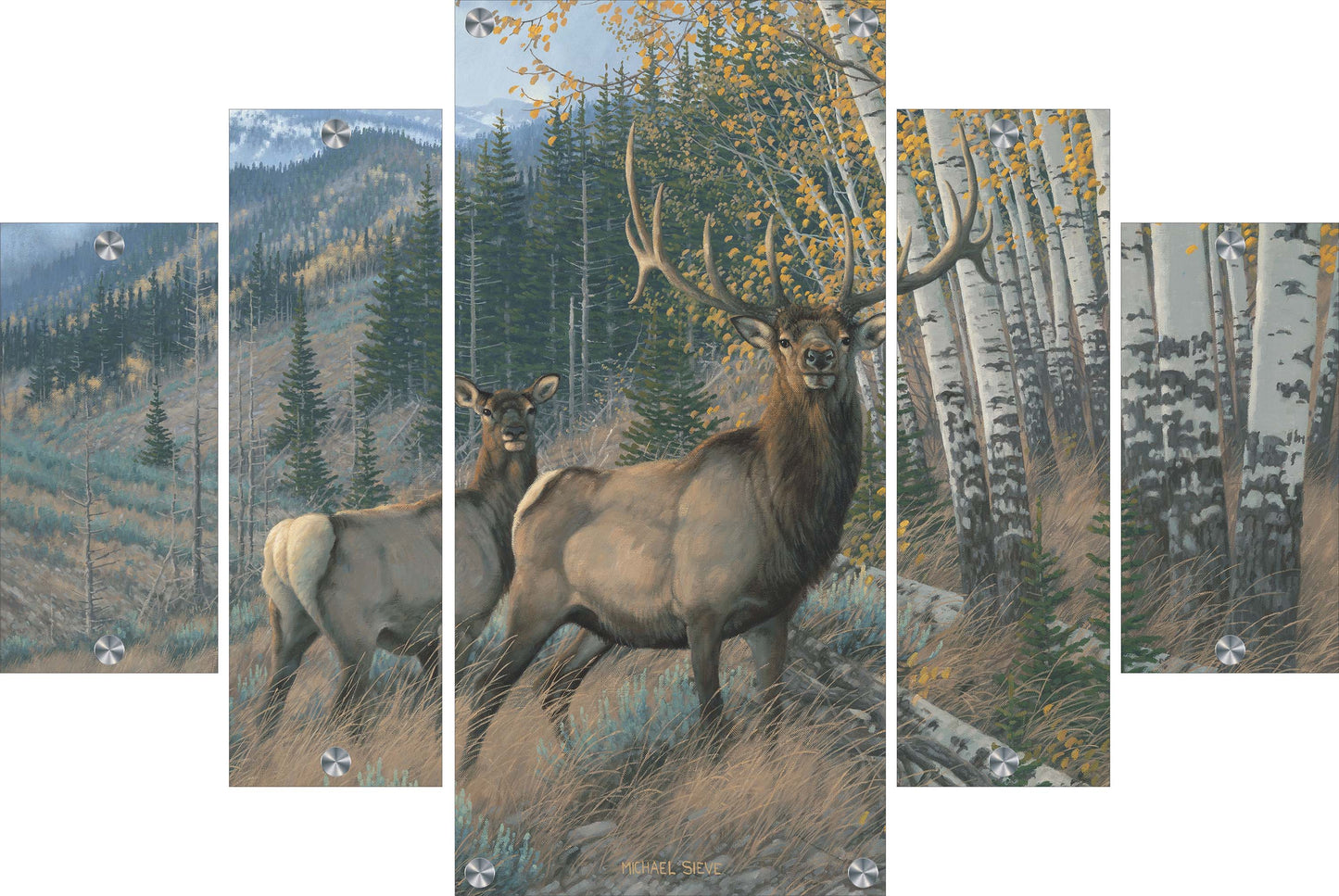 Eastern Slope - Elk Acrylic Wall Art & Home Decor