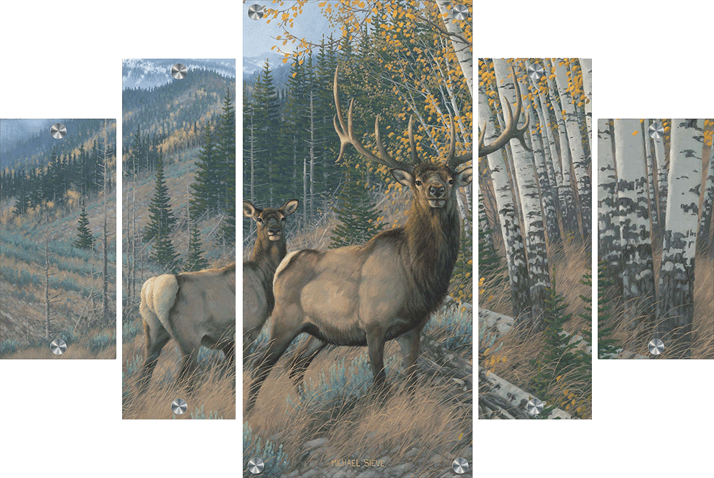Eastern Slope - Elk Acrylic Wall Art & Home Decor