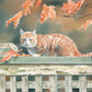 Freeway and Fall Leaves Cat Acrylic Wall Art & Home Decor