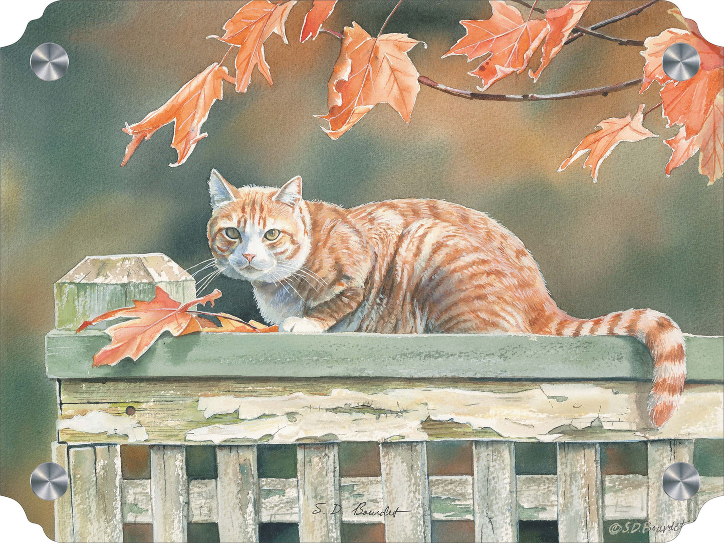 Freeway and Fall Leaves Cat Acrylic Wall Art & Home Decor