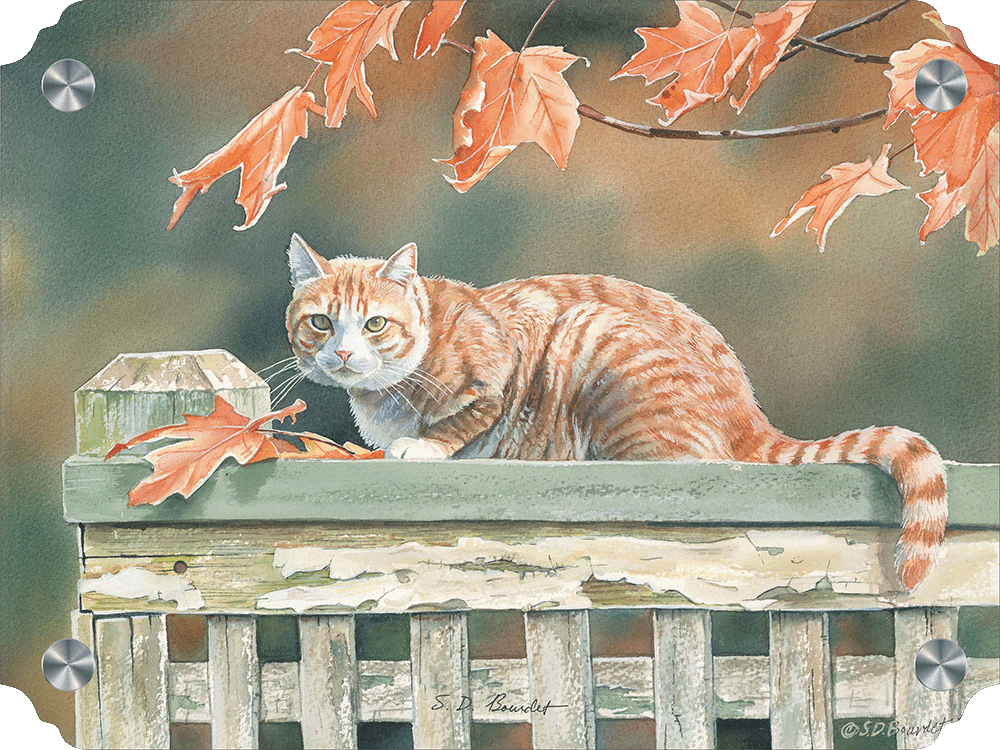 Freeway and Fall Leaves Cat Acrylic Wall Art & Home Decor