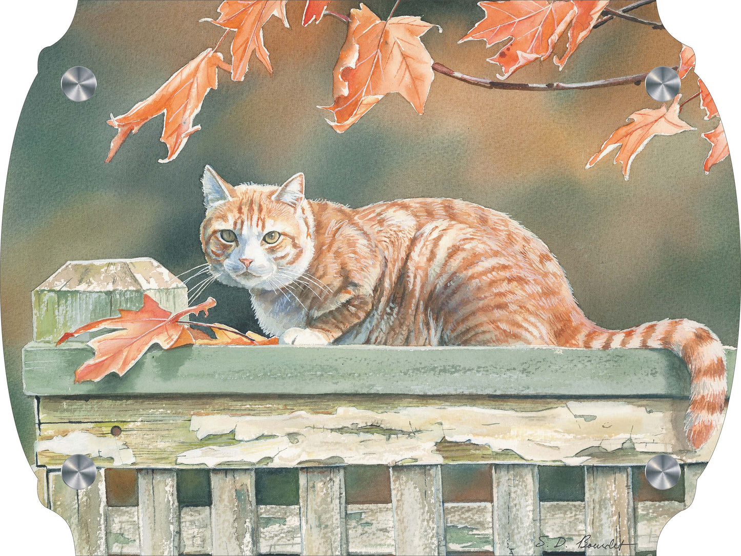 Freeway and Fall Leaves Cat Acrylic Wall Art & Home Decor