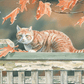Freeway and Fall Leaves Cat Acrylic Wall Art & Home Decor