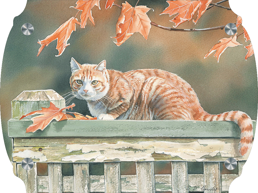 Freeway and Fall Leaves Cat Acrylic Wall Art & Home Decor