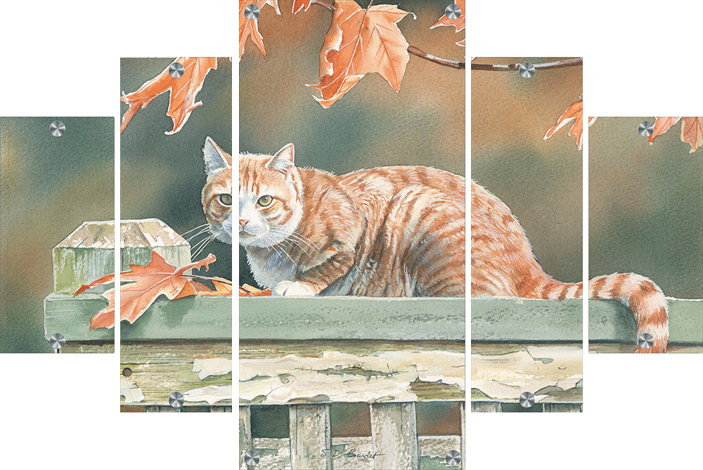 Freeway and Fall Leaves Cat Acrylic Wall Art & Home Decor