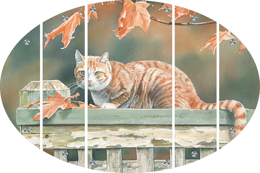 Freeway and Fall Leaves Cat Acrylic Wall Art & Home Decor