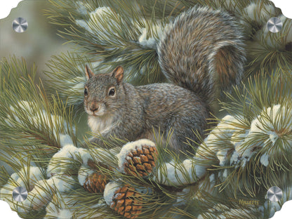 Gray Squirrel Acrylic Wall Art & Home Decor