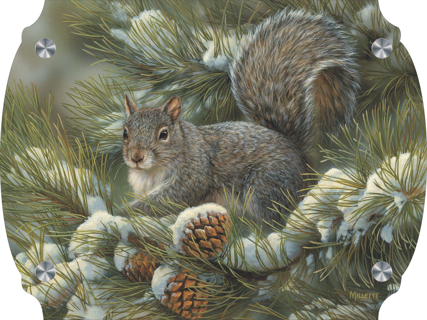 Gray Squirrel Acrylic Wall Art & Home Decor