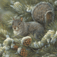 Gray Squirrel Acrylic Wall Art & Home Decor
