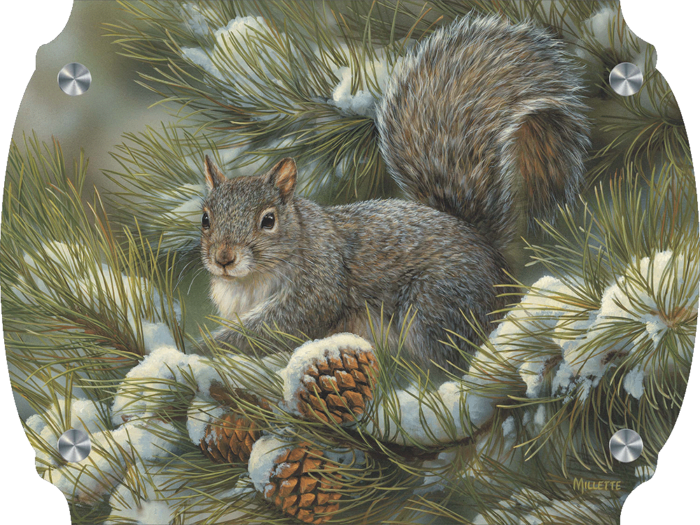 Gray Squirrel Acrylic Wall Art & Home Decor