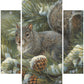 Gray Squirrel Acrylic Wall Art & Home Decor