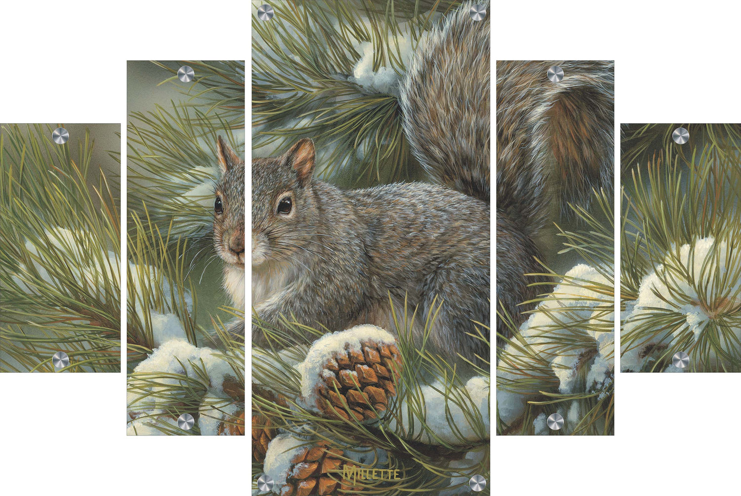 Gray Squirrel Acrylic Wall Art & Home Decor