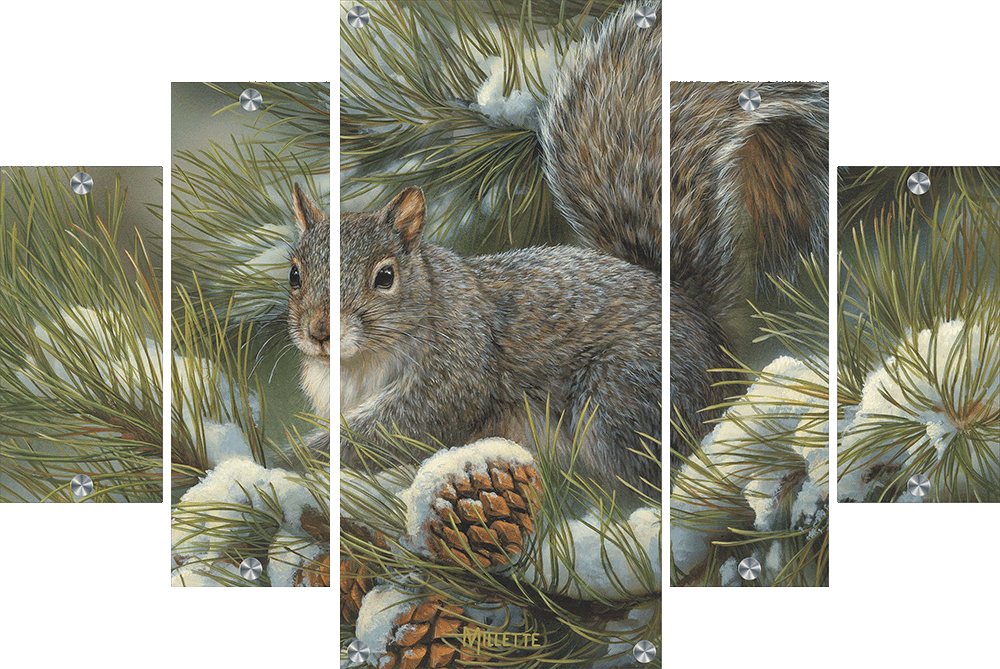 Gray Squirrel Acrylic Wall Art & Home Decor