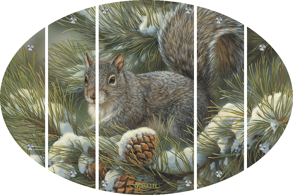 Gray Squirrel Acrylic Wall Art & Home Decor