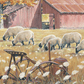 Grazing Days - Sheep Acrylic Wall Art & Home Decor