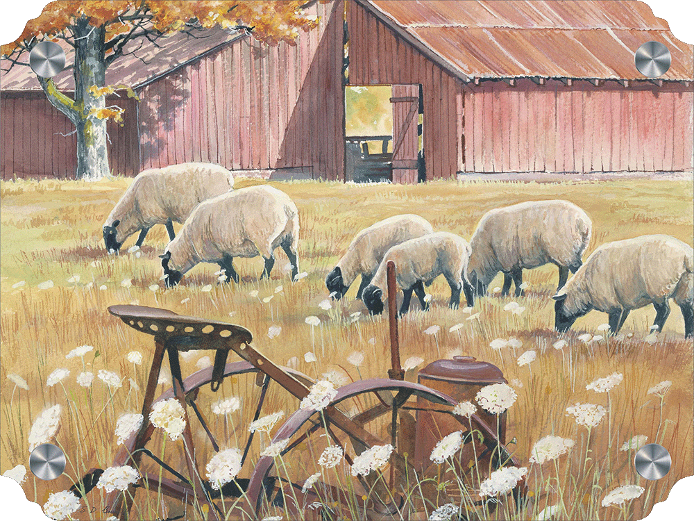 Grazing Days - Sheep Acrylic Wall Art & Home Decor