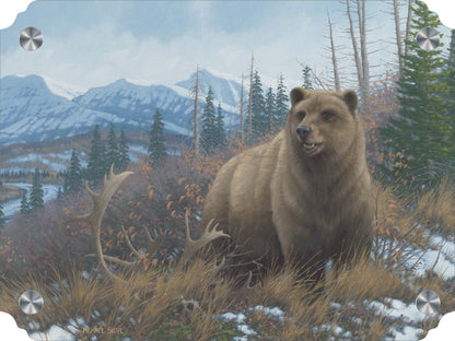 Grizzly Acrylic Wall Art & Home Decor