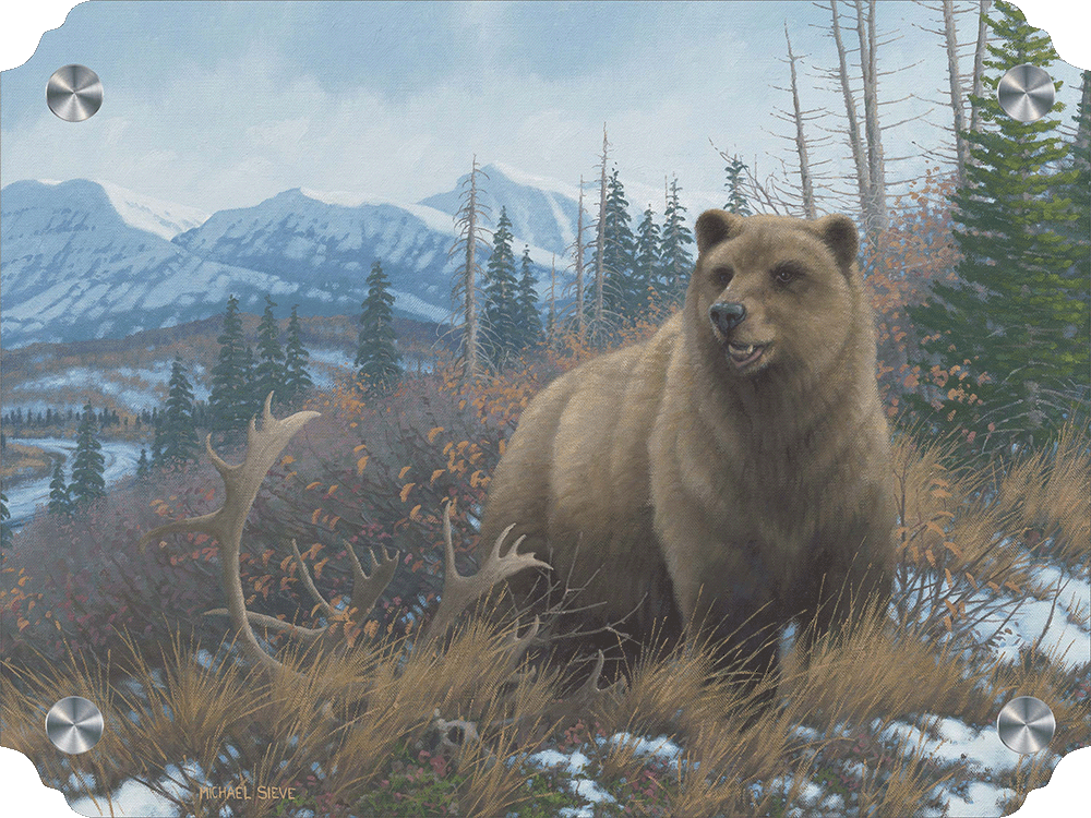 Grizzly Acrylic Wall Art & Home Decor