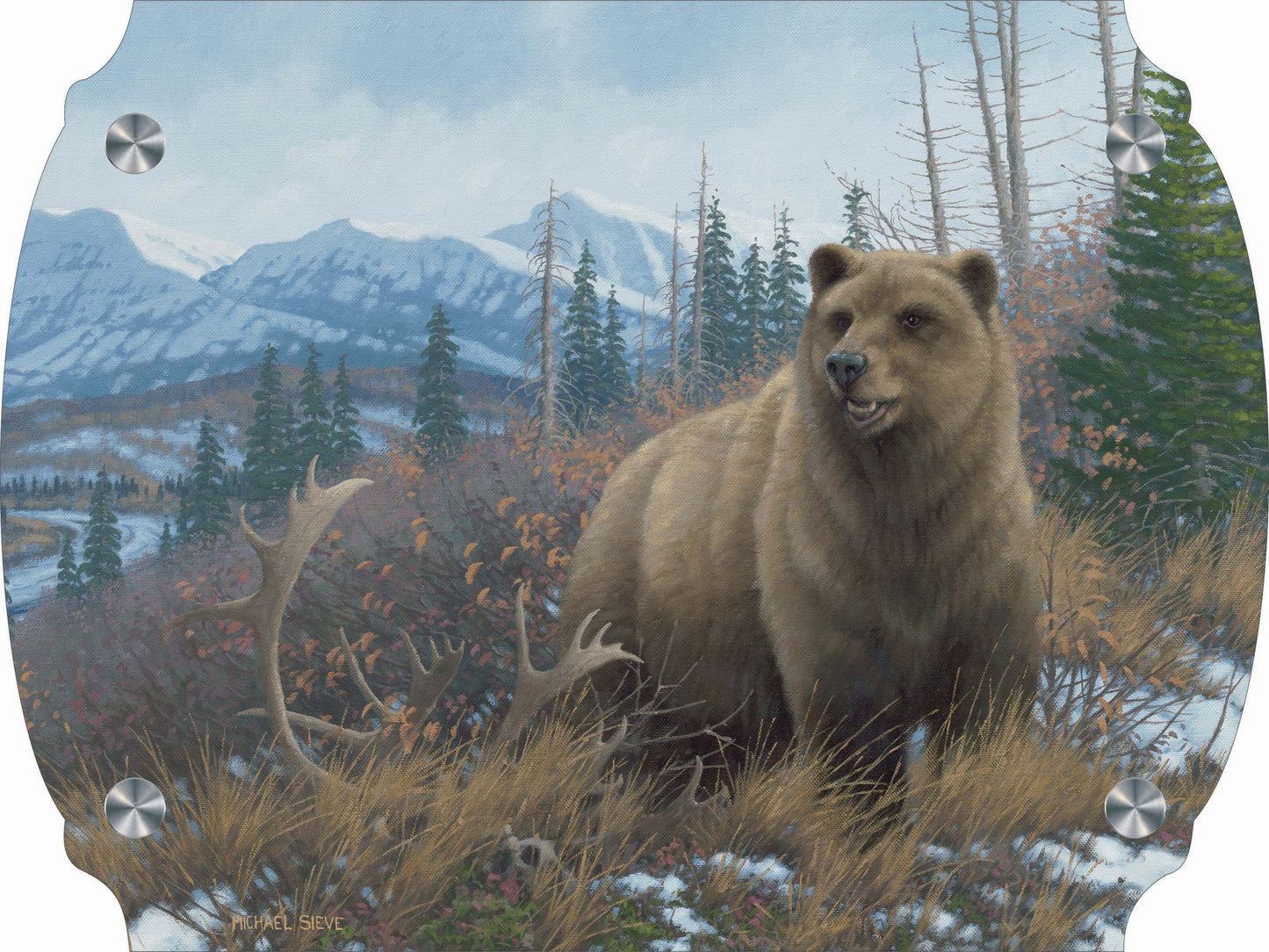 Grizzly Acrylic Wall Art & Home Decor