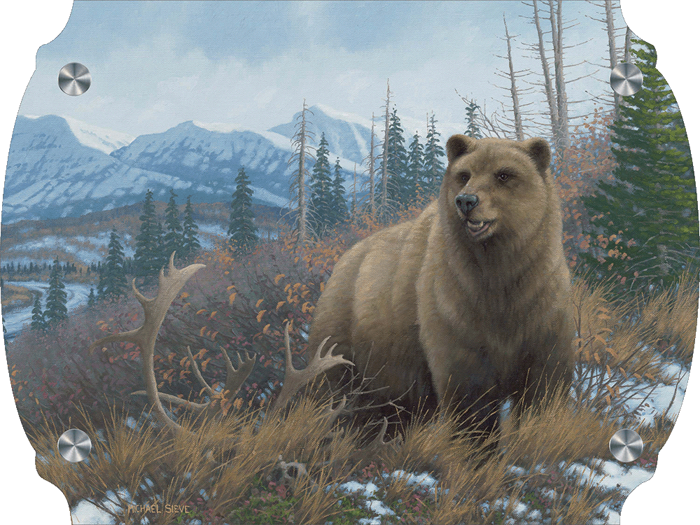 Grizzly Acrylic Wall Art & Home Decor