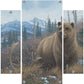 Grizzly Acrylic Wall Art & Home Decor