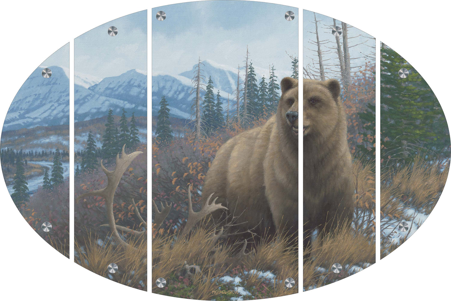 Grizzly Acrylic Wall Art & Home Decor