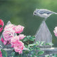 In the Garden Rose Acrylic Wall Art & Home Decor