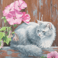 In the Pink Cat Acrylic Wall Art & Home Decor